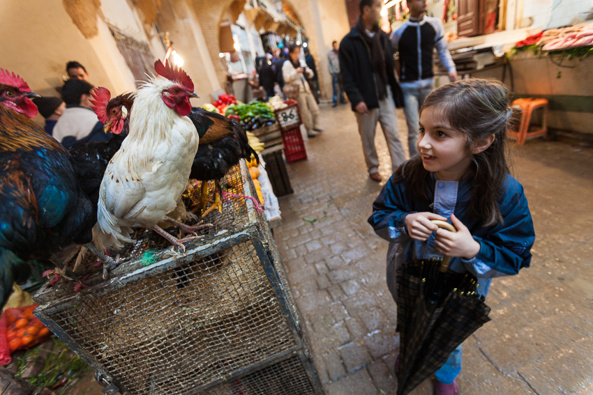 Wandering Fes's Famous Souk